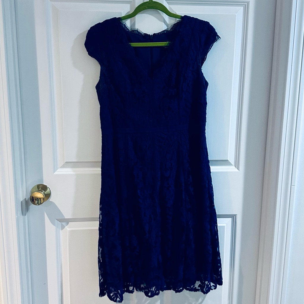 Adrianna Papell Blue Elegant Lace Lined Dress Medium Wedding Formal